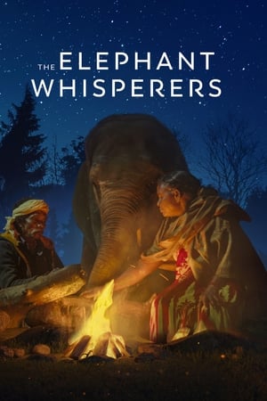 The Elephant Whisperers (2022) คนกล่อมช้าง