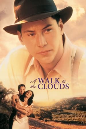 A Walk in the Clouds (1995) จะขอบูชา หัวใจเธอไว้ที่วิมานเมฆ