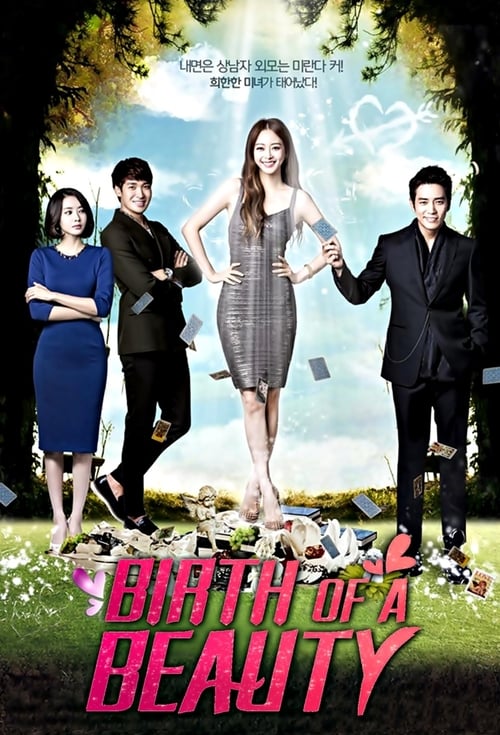 Birth of a Beauty (2014) ศัลย์ใจให้เธอรัก