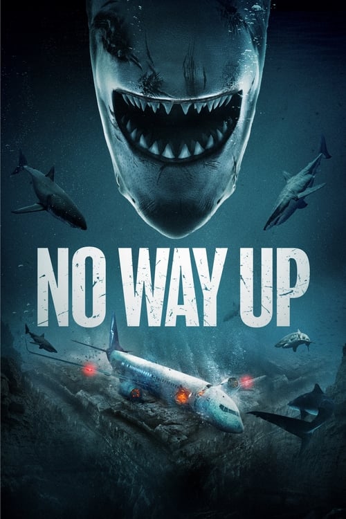 No Way Up (2024) งาบคลั่งไฟลต์